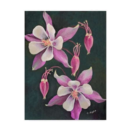 Carol J Rupp 'Pink Columbine Flowers' Canvas Art,35x47